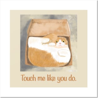 Cat in a box, touch me like you do Posters and Art